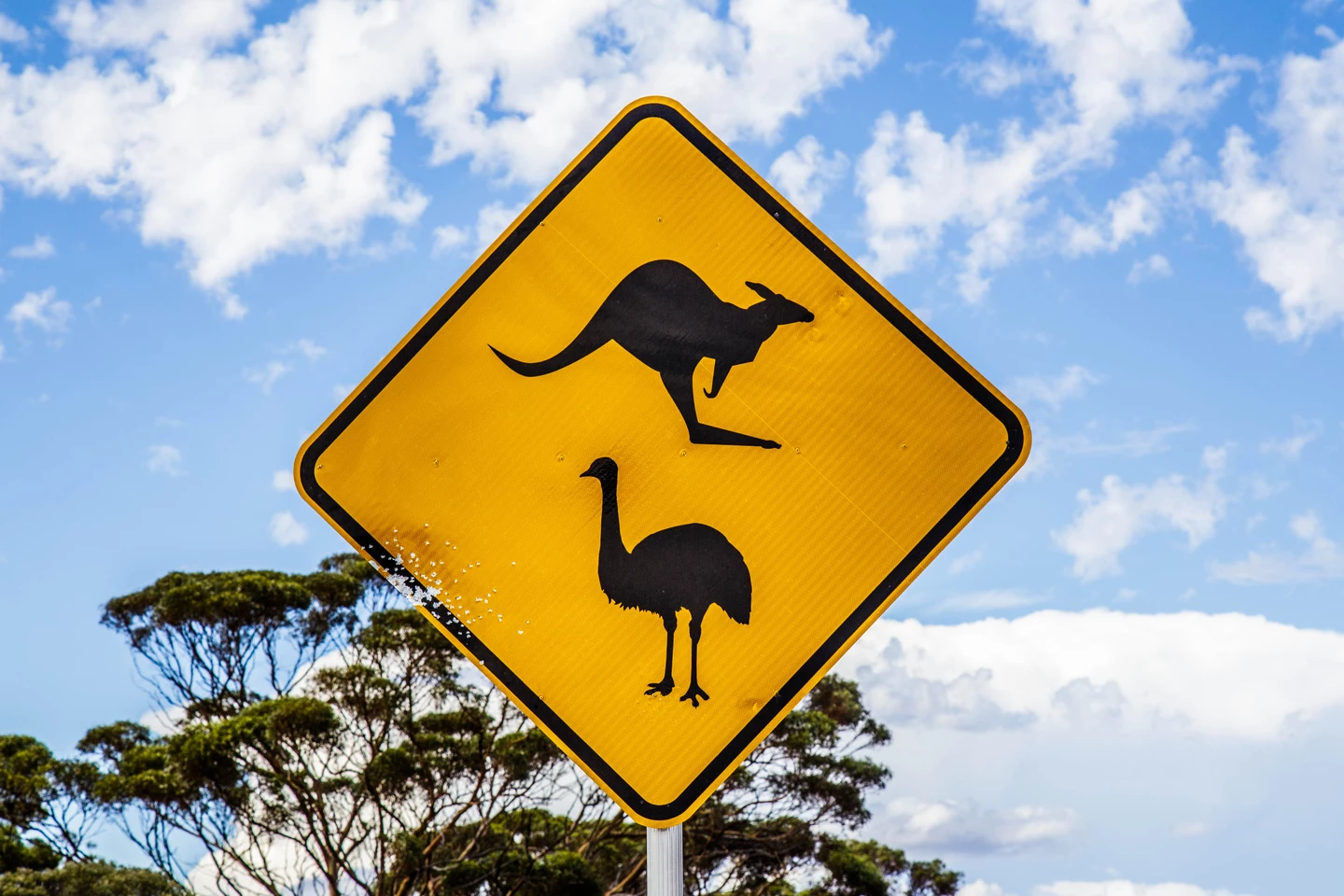 Gelbes Verkehrsschild mit schwarzen Silhouetten von Känguru und Emu vor blauem Himmel und Bäumen
