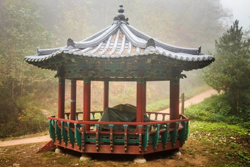 Asiatischer Holz-Pavillon mit geschnitztem Dach in nebliger Waldlandschaft, rot-grün-weiß bemalt