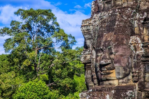 Steinernes Gesicht eines Tempels mit geschlossenen Augen, umgeben von üppigem grünem Dschungelwald und blauem Himmel