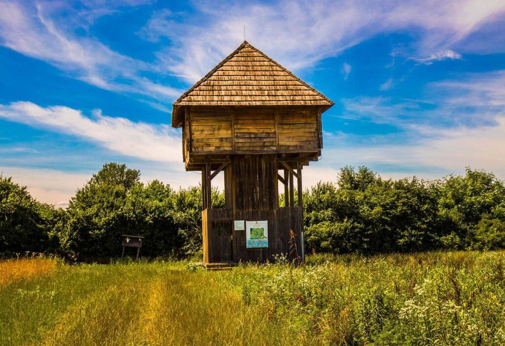 Hölzerner Aussichtsturm mit Schindeldach, umgeben von blühender Wiese und grünen Bäumen unter blauem Himmel