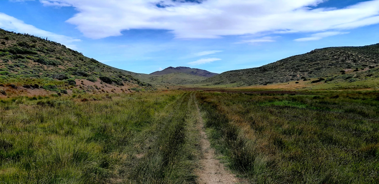 Schmaler Erdweg führt durch grüne Graslandschaft mit sanften Hügeln und Bergpanorama im Hintergrund unter blauem Himmel