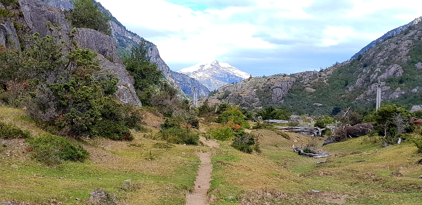 Schmaler Wanderweg führt durch grüne Bergwiese, im Hintergrund schneebedeckte Gipfel und felsige Berghänge