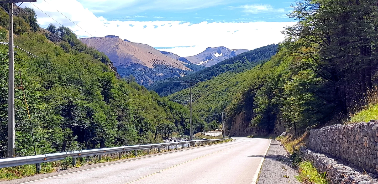 Leere Asphaltstraße schlängelt sich durch grüne Wälder, umgeben von bewaldeten Berghängen und blauem Himmel