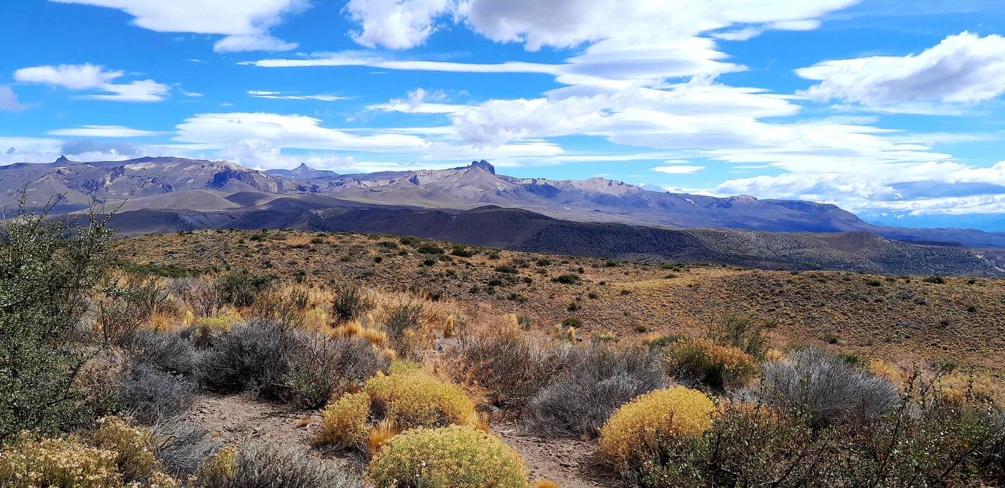 Weite Steppe mit Büschen und Gräsern, im Hintergrund eine bergige Landschaft mit felsigen Gipfeln unter blauem Himmel mit Wolken