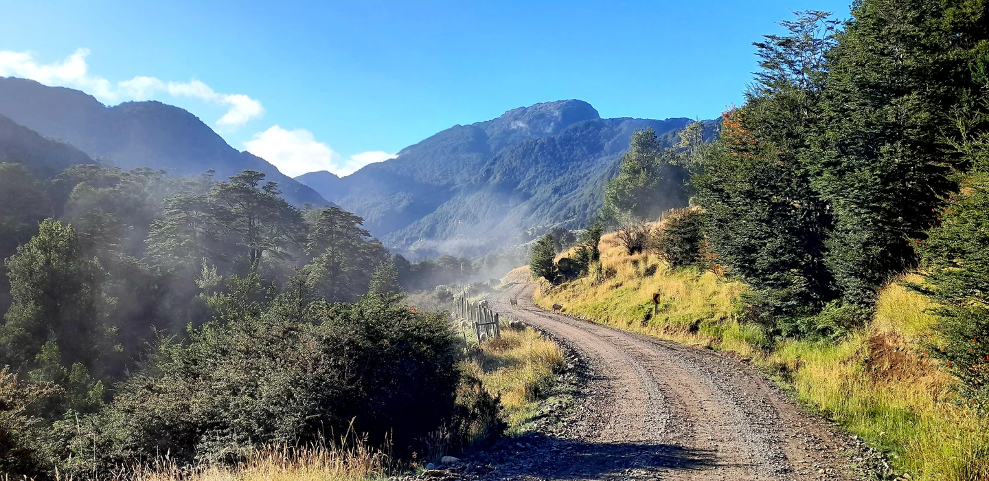 Schottrige Landstraße führt durch grüne Berglandschaft mit Nadelbäumen, Zaun und Nebelschwaden zwischen bewaldeten Bergen