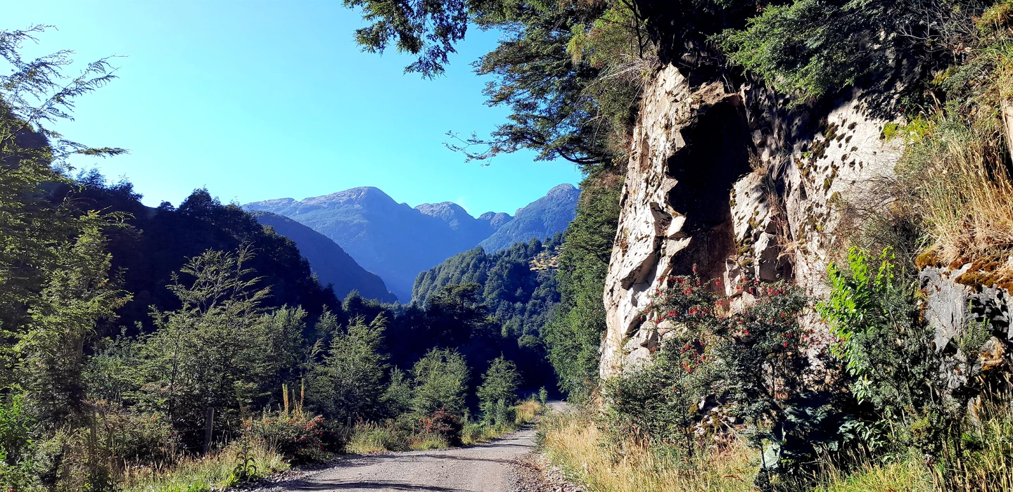 Unbefestigte Schotterpiste durch grünen Bergwald, rechts Felswand, im Hintergrund blaue Berggipfel, Patagonien