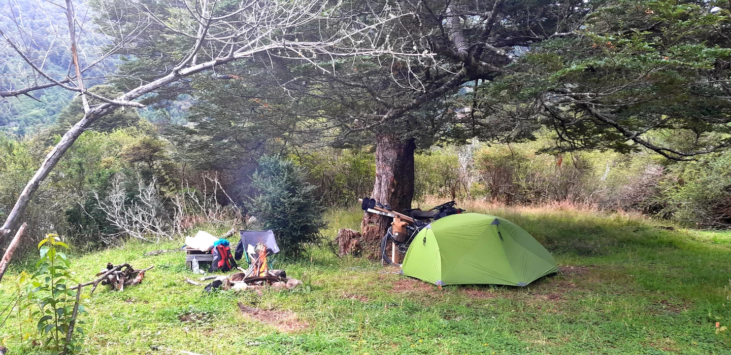 Grüne Wiese im Wald mit hellgrünem Zelt, Lagerfeuer und Campingausrüstung unter großen Bäumen