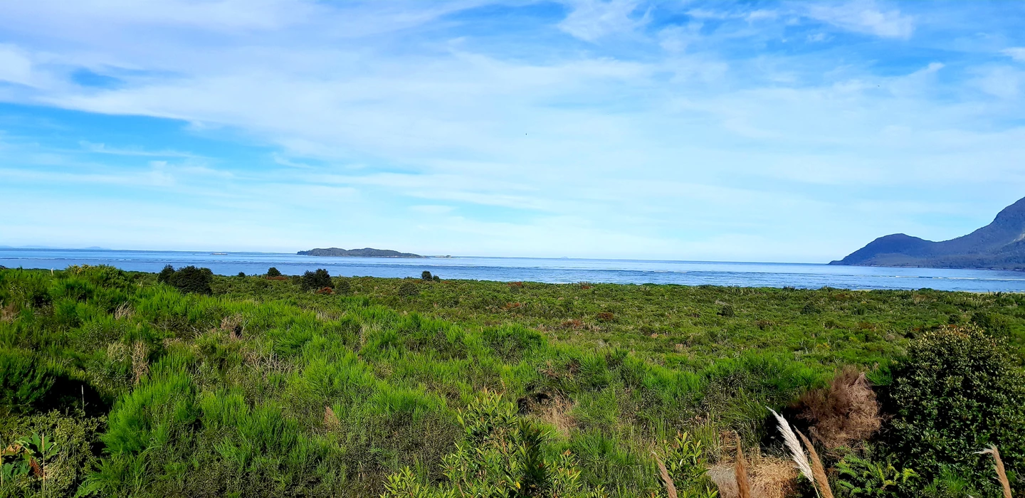 Grüne Küstenvegetation mit Blick auf blaues Meer, Insel im Hintergrund und sanfte Berge am Horizont