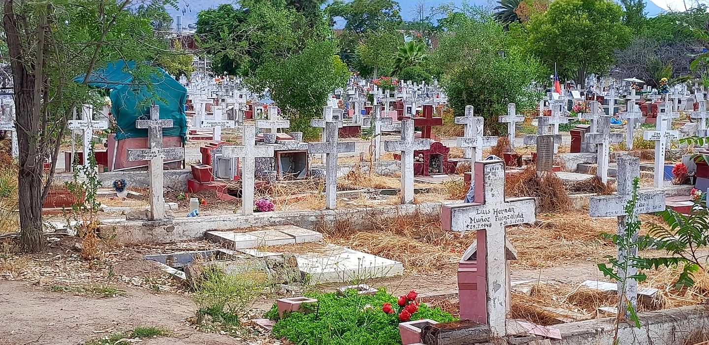 Friedhof mit zahlreichen weißen Kreuzen, verwelkten Gräbern und vertrockneter Vegetation, Bäume im Hintergrund