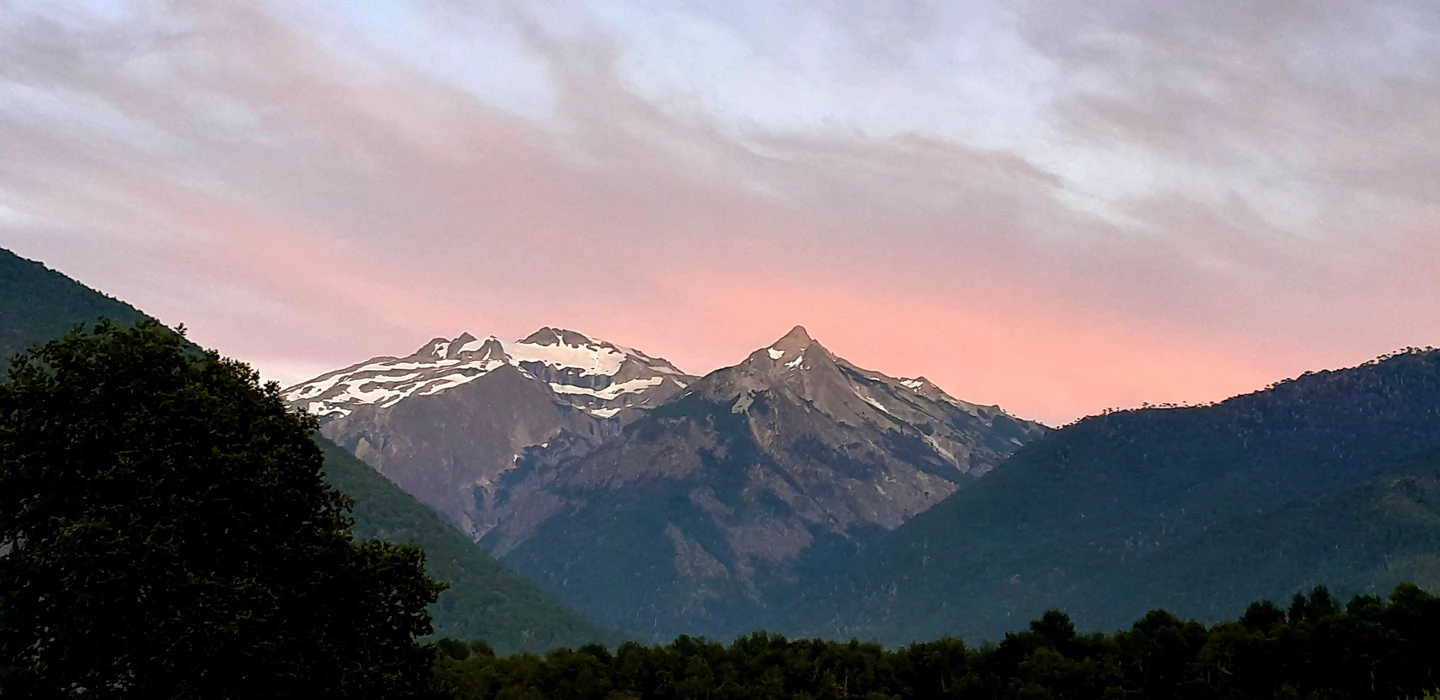Berglandschaft mit schneebedeckten Gipfeln, grünem Wald im Vordergrund und rosa-blauem Morgenhimmel
