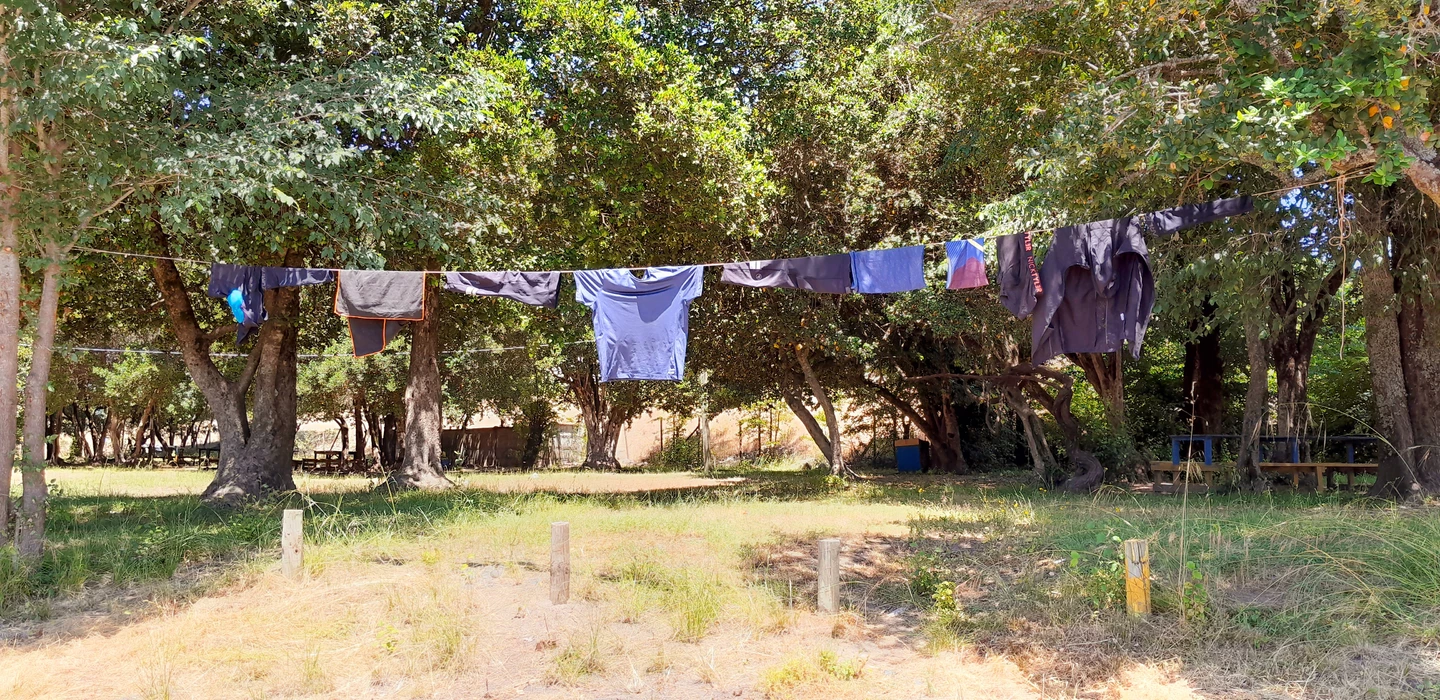 Mehrere Kleidungsstücke in verschiedenen Blautönen hängen zum Trocknen an einer Leine zwischen Bäumen in einem sonnigen Garten