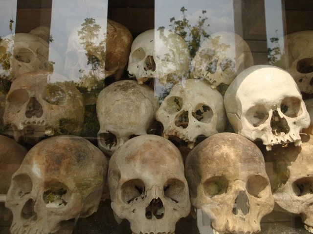 Mehrere bleiche Menschenschädel in verschiedenen Grautönen, dicht an dicht gestapelt, im Hintergrund Reflexion von Bäumen