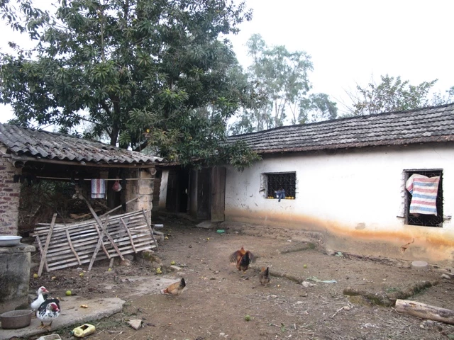 Rustikaler Bauernhof mit Holzzaun, mehreren Hühnern auf unbefestigtem Hofgelände, Lehmhäusern und Bäumen im Hintergrund