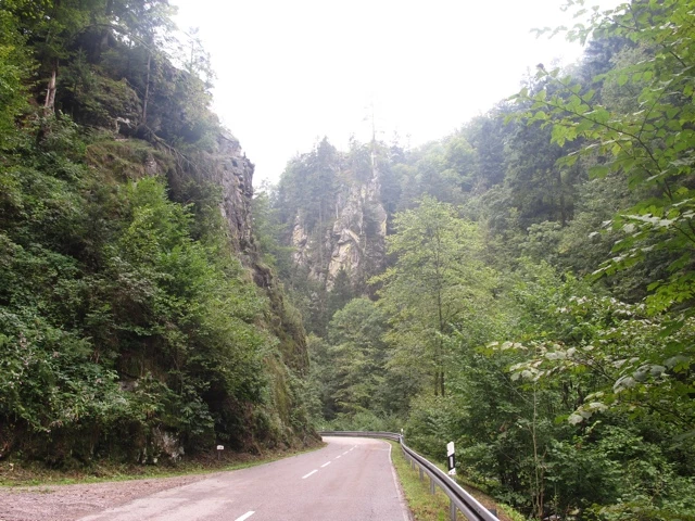Serpentinenstraße durch dichten Nadelwald, gesäumt von hohen Felswänden und üppiger Vegetation