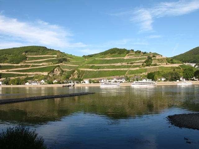 Blick über den Fluss auf terrassierte Weinberge, grüne Hügel und Häuser am Flussufer bei blauem Himmel