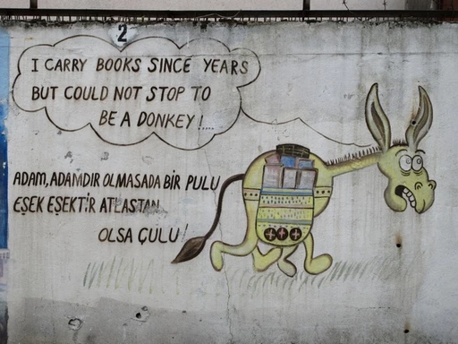 Gezeichneter gelber Esel mit Bücherstapel auf dem Rücken, daneben Comic-Sprechblase mit Text auf türkisch