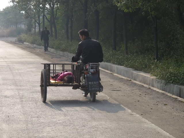 Motorisiertes Dreirad mit Anhänger auf einer Allee mit Bäumen, Fahrer von hinten, neblige Atmosphäre