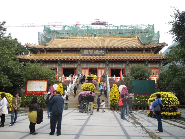 Traditioneller ostasiatischer Tempel mit gelben und rosa Chrysanthemen, Besuchern und Baugerüst im Hintergrund