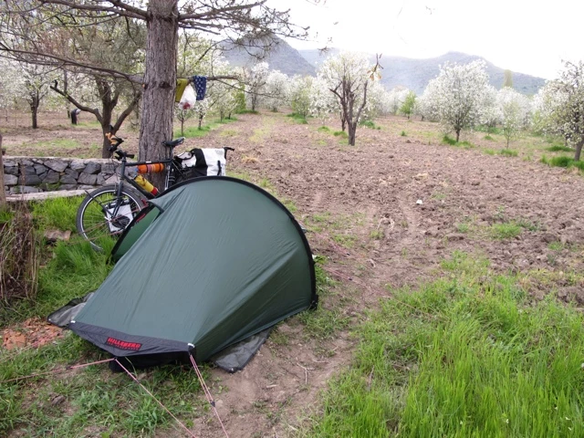 Grünes Zelt an einem Baum in einer Obstplantage, daneben ein Fahrrad mit Gepäck, Berge im Hintergrund