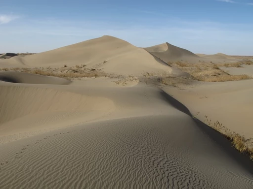 Ausgedehnte Wüstenlandschaft mit beige-farbenen Sanddünen, wellenförmigen Strukturen und spärlicher Vegetation