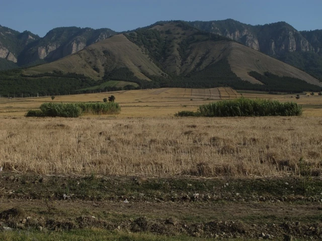 Weite Steppenlandschaft mit vertrocknetem Grasland, im Hintergrund felsige Berge und grüne Vegetationsinseln