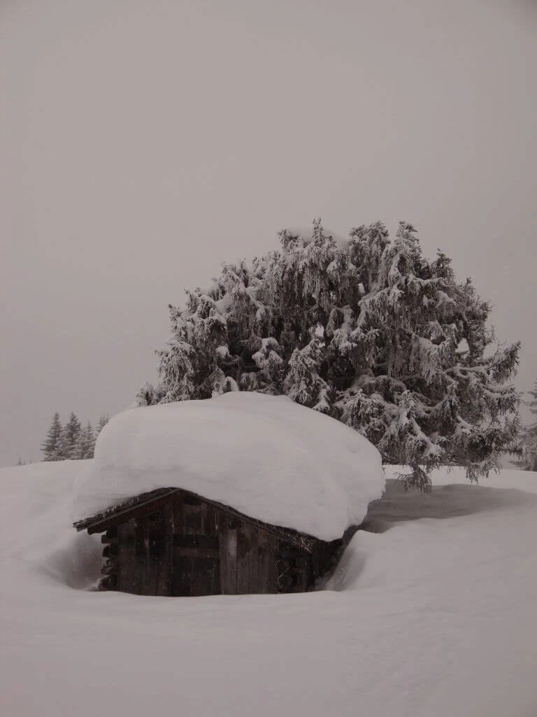 Kleine Holzhütte komplett mit Schnee bedeckt, umgeben von schneebedeckten Nadelbäumen in grauer Winterlandschaft