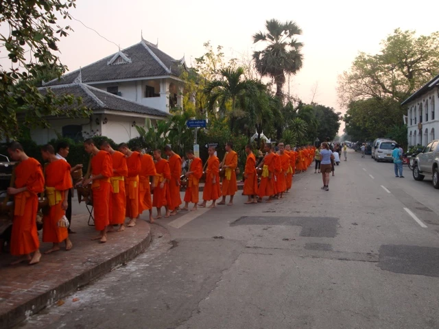 Reihe von buddhistischen Mönchen in leuchtend orangefarbenen Roben auf einer Straße in einer südostasiatischen Stadt, Palmen und Häuser im Hintergrund