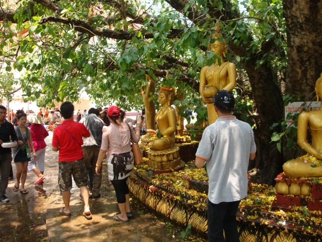 Mehrere goldene Buddha-Statuen unter Bäumen, Besucher in verschiedenfarbiger Kleidung im Hintergrund, sonniger Tag