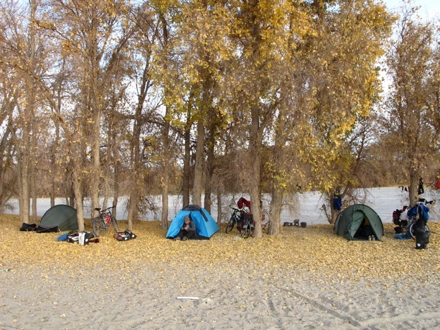 Drei Zelte in herbstlicher Landschaft mit Laubbäumen, Fahrrädern und Gepäck auf sandigem Untergrund