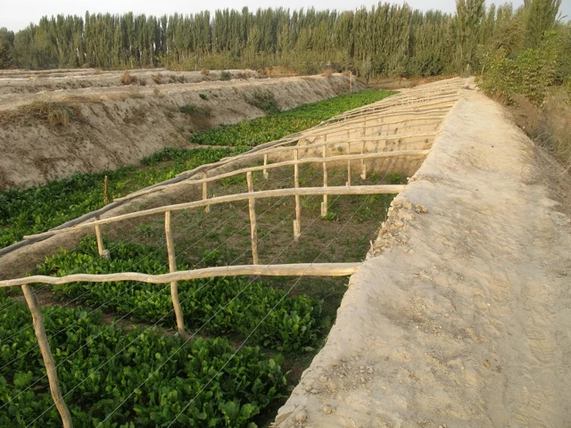 Länglicher Bewässerungskanal mit Holzstützen, grüne Pflanzen in Erde, Bäume im Hintergrund, sandige Landschaft